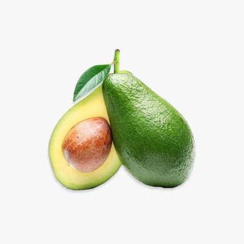 Italian Pasta Collection