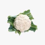 Frozen Mixed Vegetables