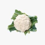 Frozen Mixed Vegetables